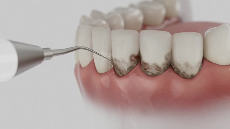 Reliable Dental contractor in Lisbon Falls, ME by Dentist Open Now
